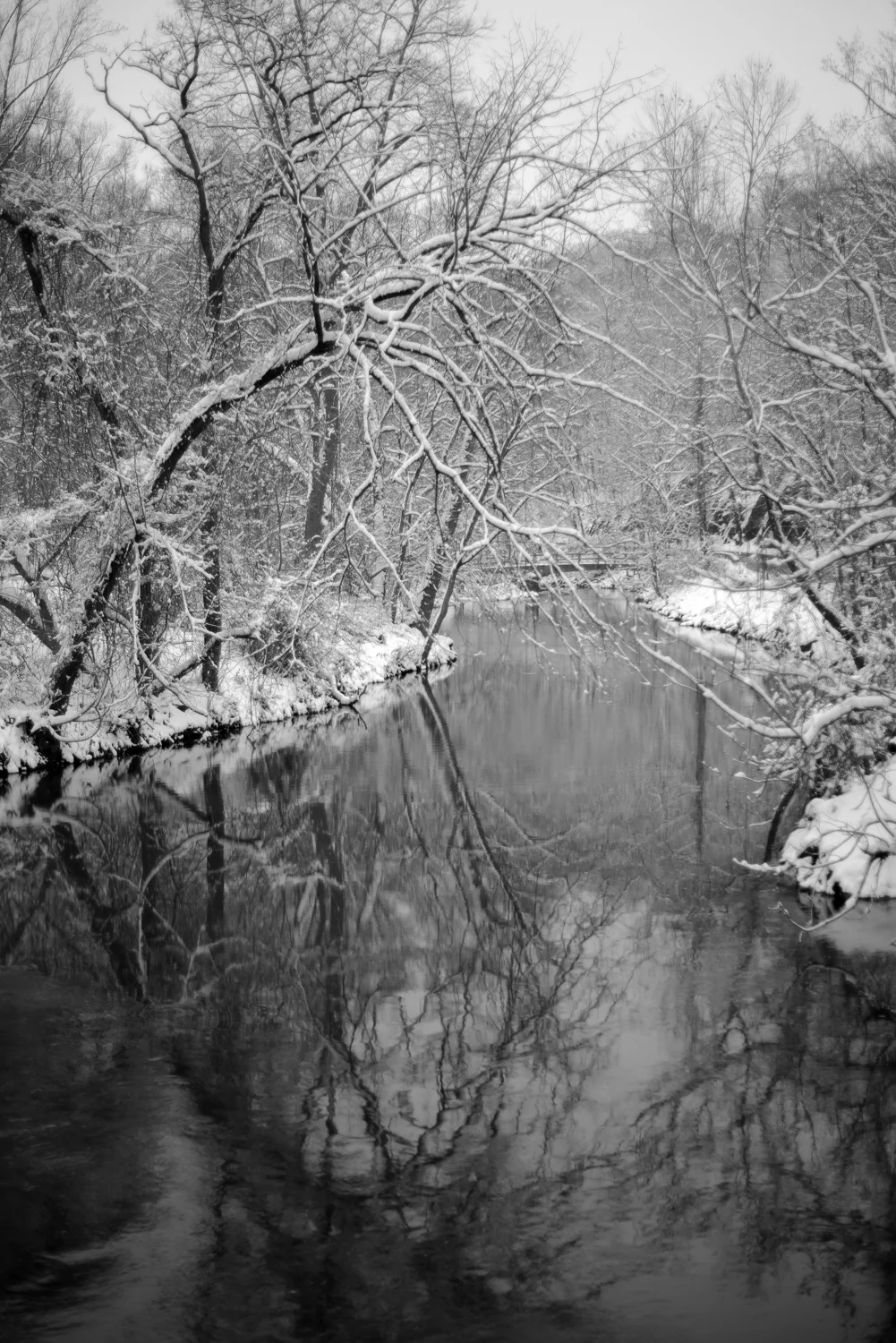 20190113_FirstSnowoftheYear-76.jpg