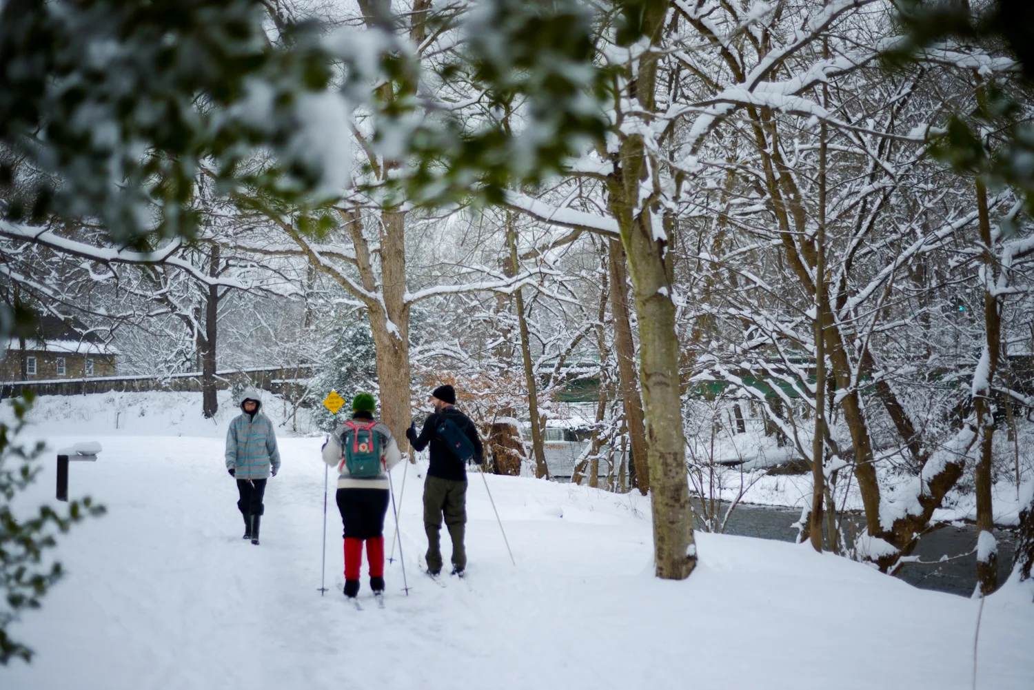 20190113_FirstSnowoftheYear-86.jpg