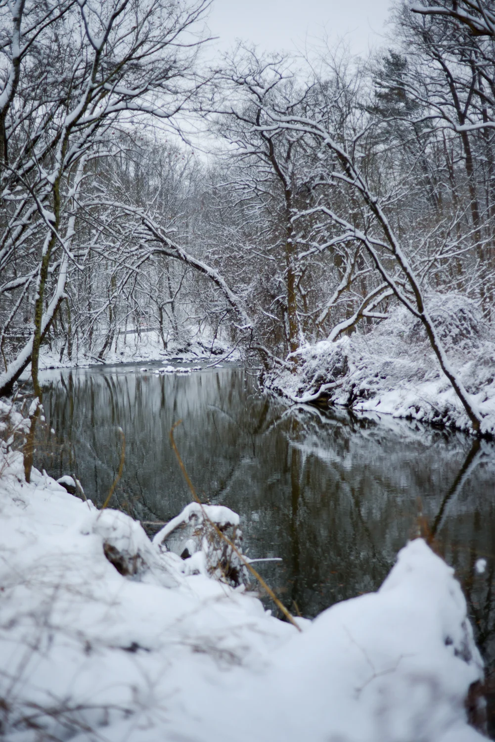 20190113_FirstSnowoftheYear-97.jpg