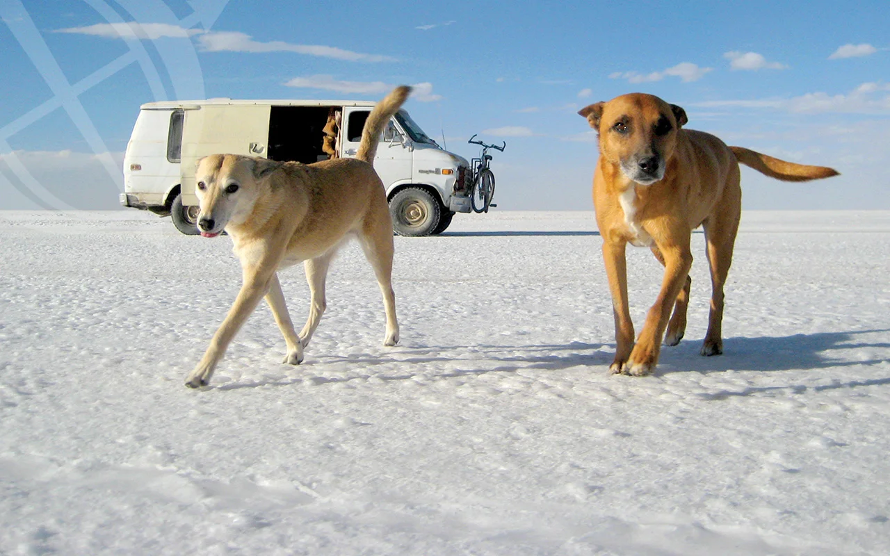 Experts 2015 EAST — Overland Expo®