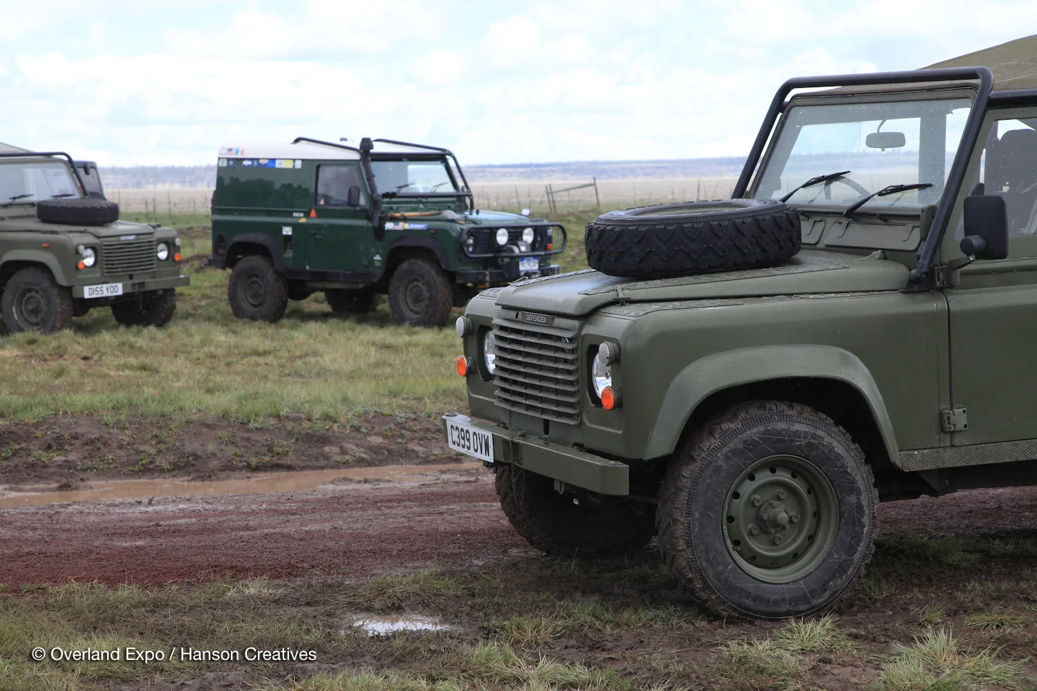 OX15W-WEB-IMG_3780.jpg