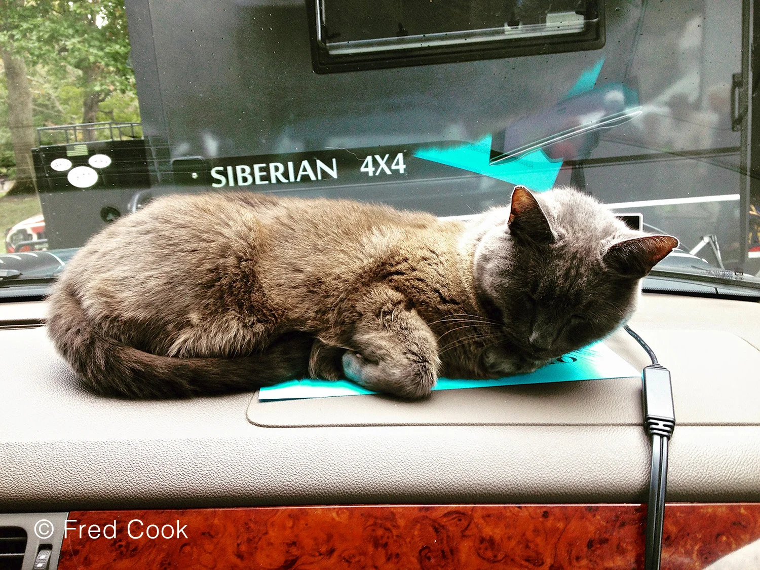 Fred Cook_BleuSnooze.jpg