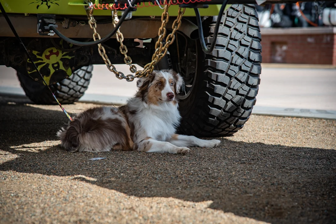 overland-expo-TGH-2019-web-094.jpg