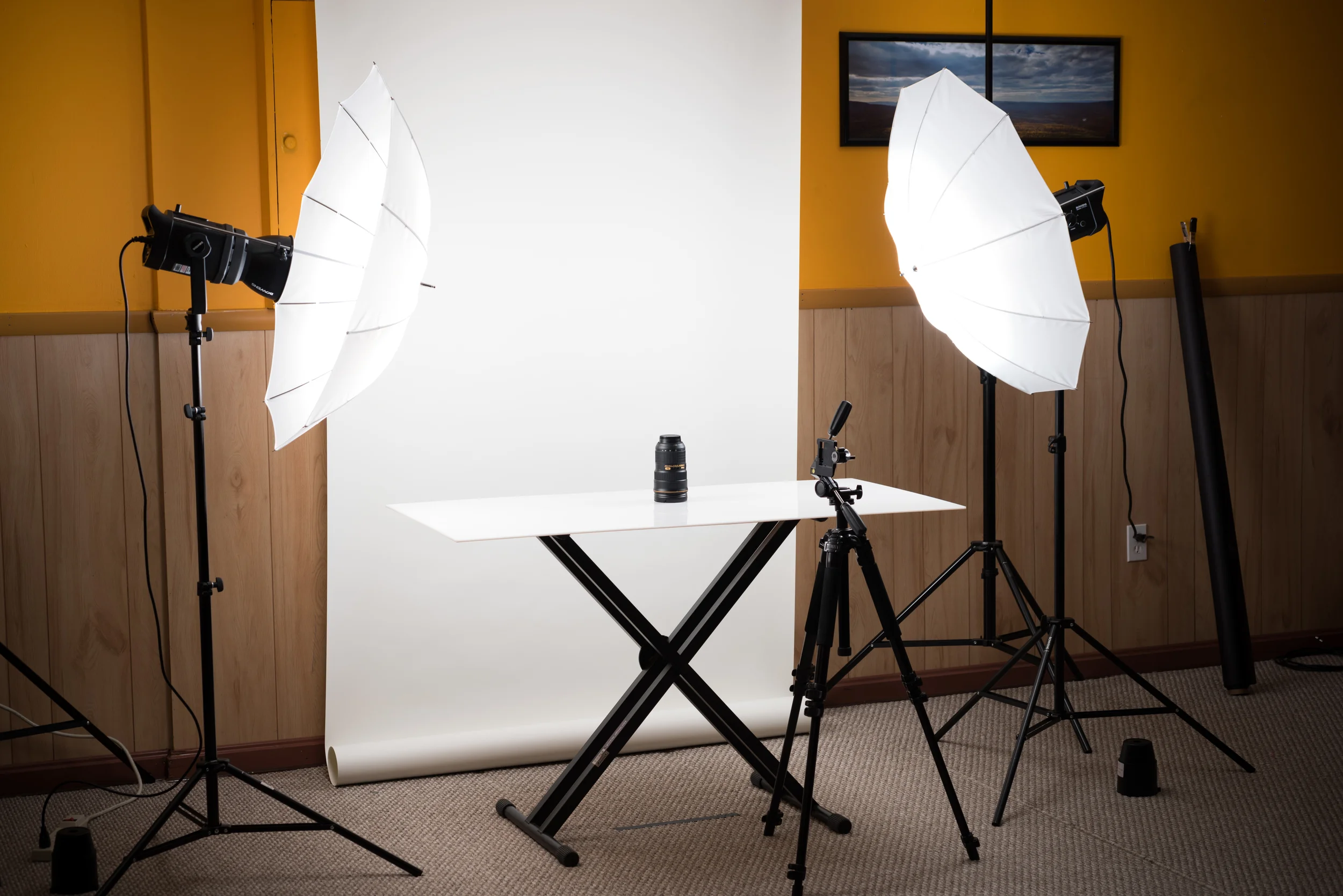 Shot with: AF Micro 60mm 1:2.8 D | Camera: Nikon D810 used on all photographs.