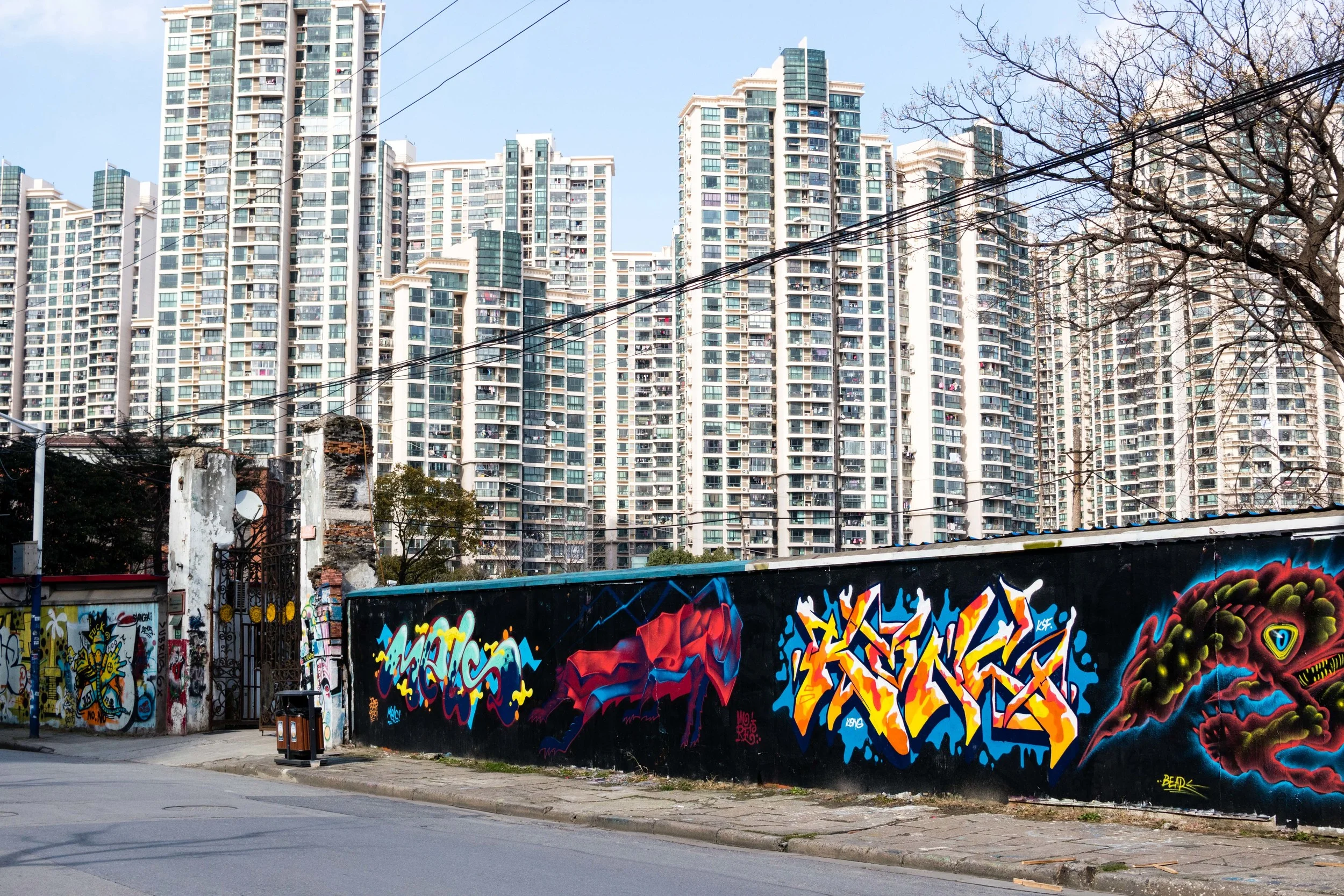 DSC_1445.jpg