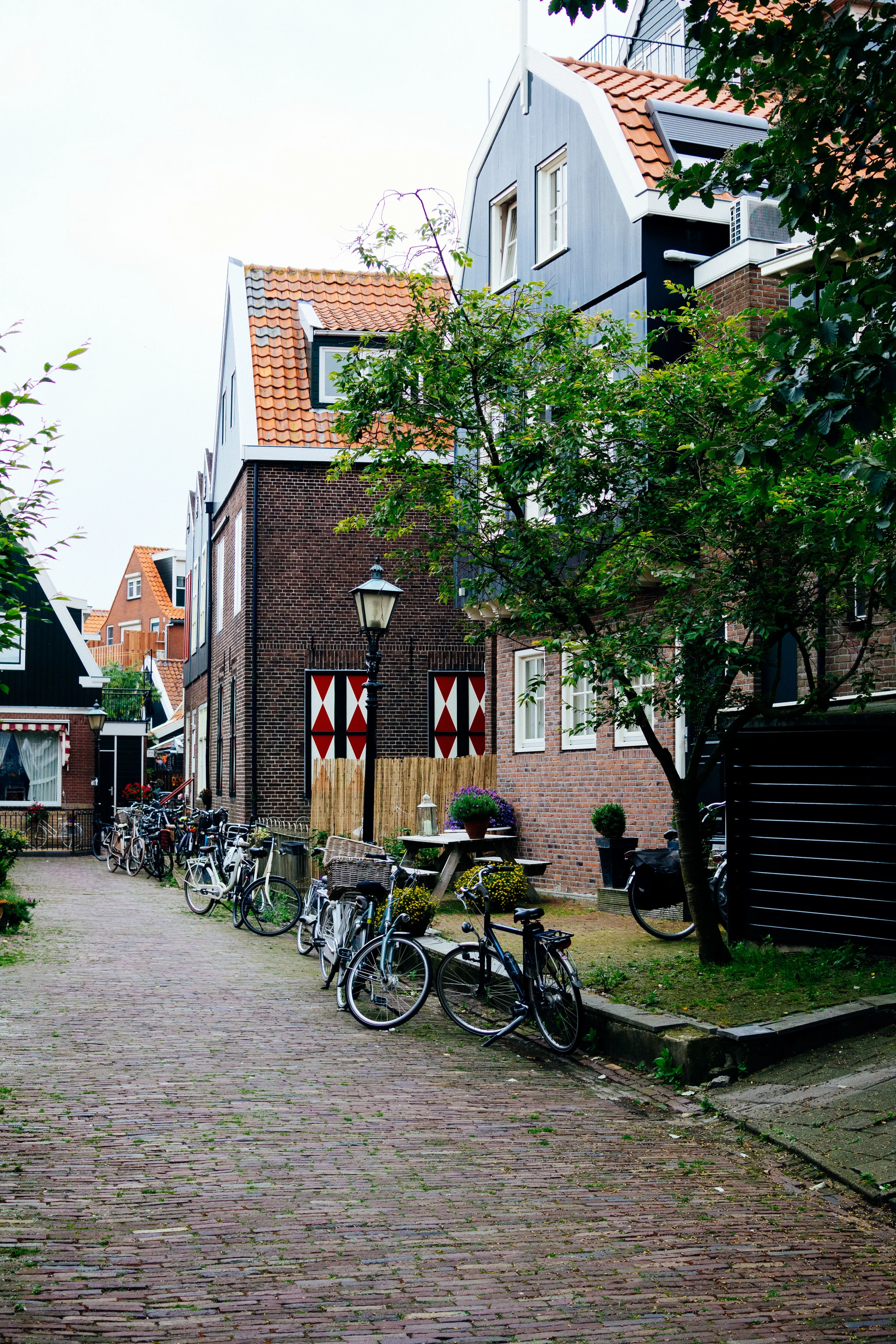 DSC_1862.jpg