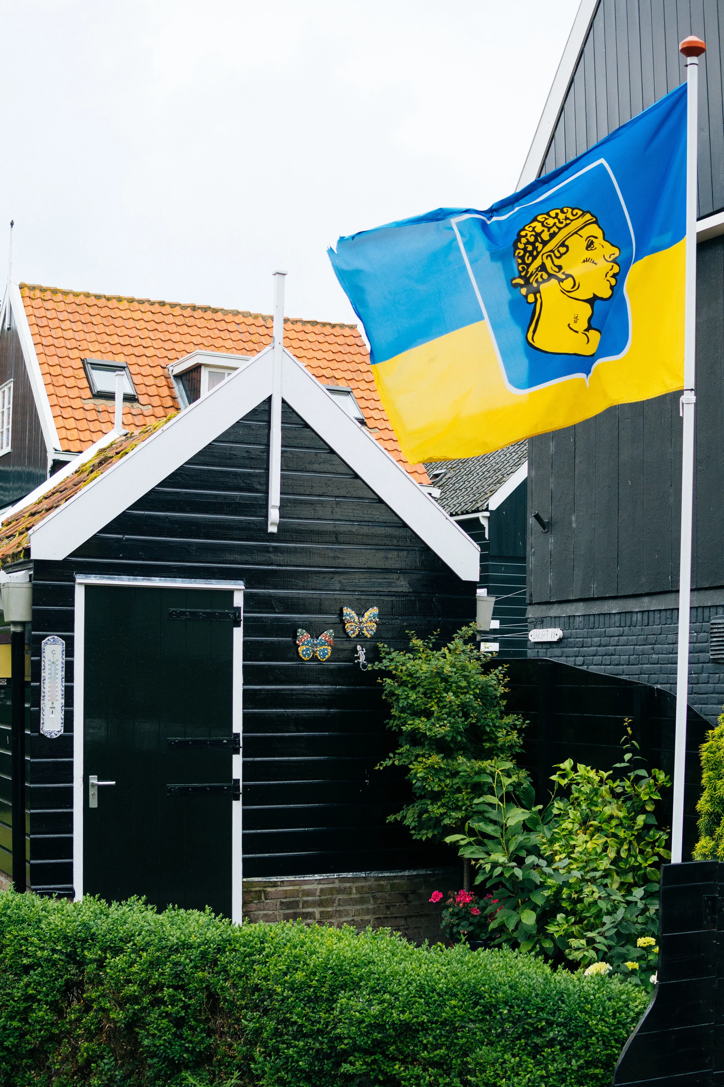 DSC_1874.jpg