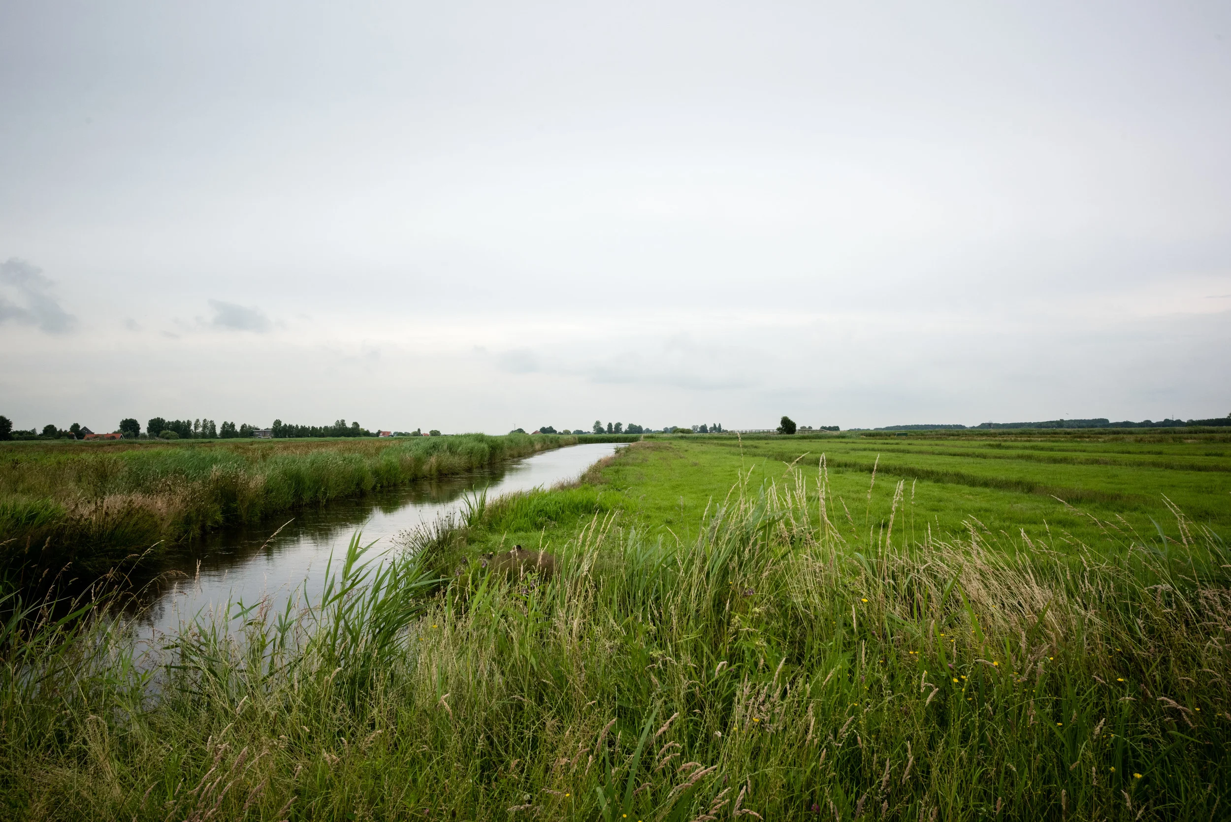 DSC_9734.jpg