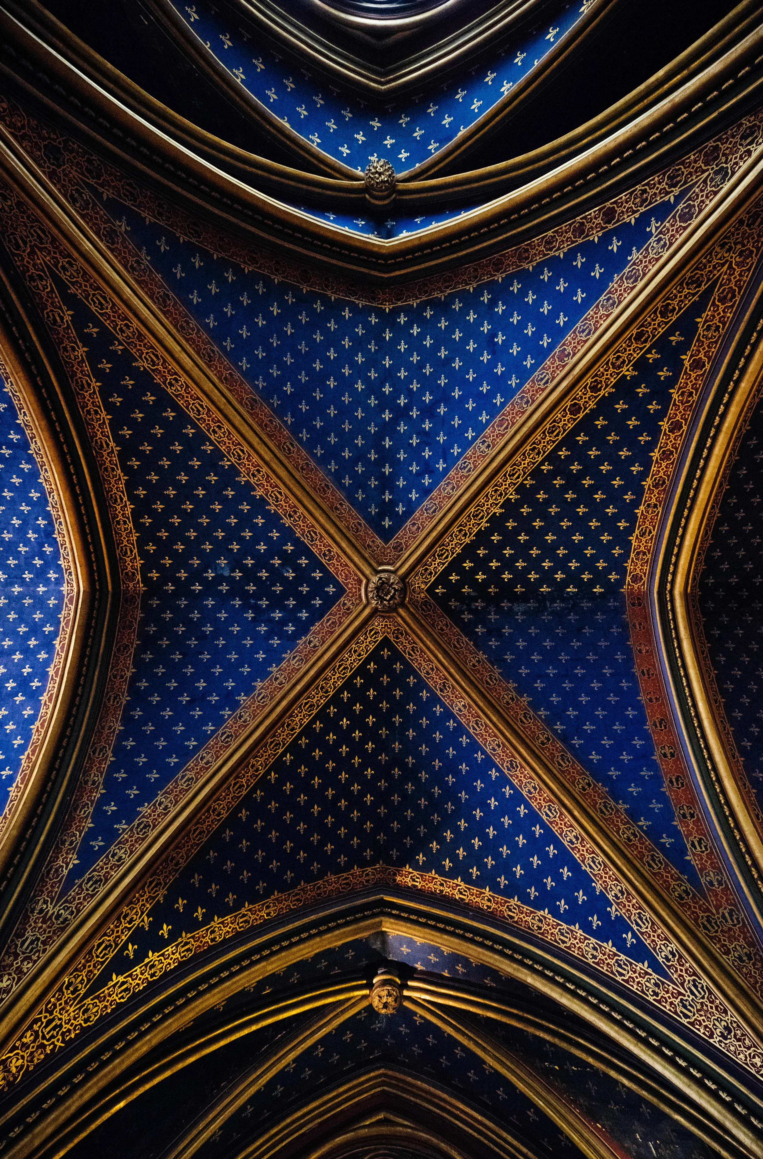 DSC_9981.jpg
