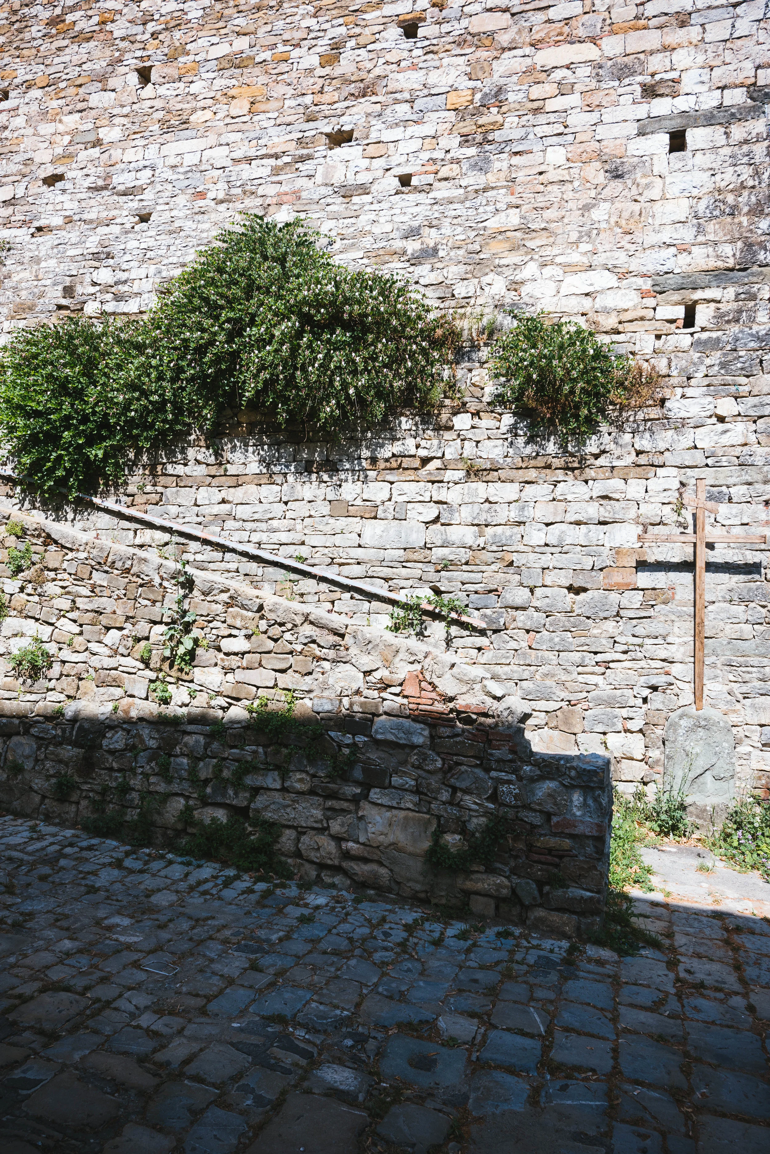 DSC_1408.jpg