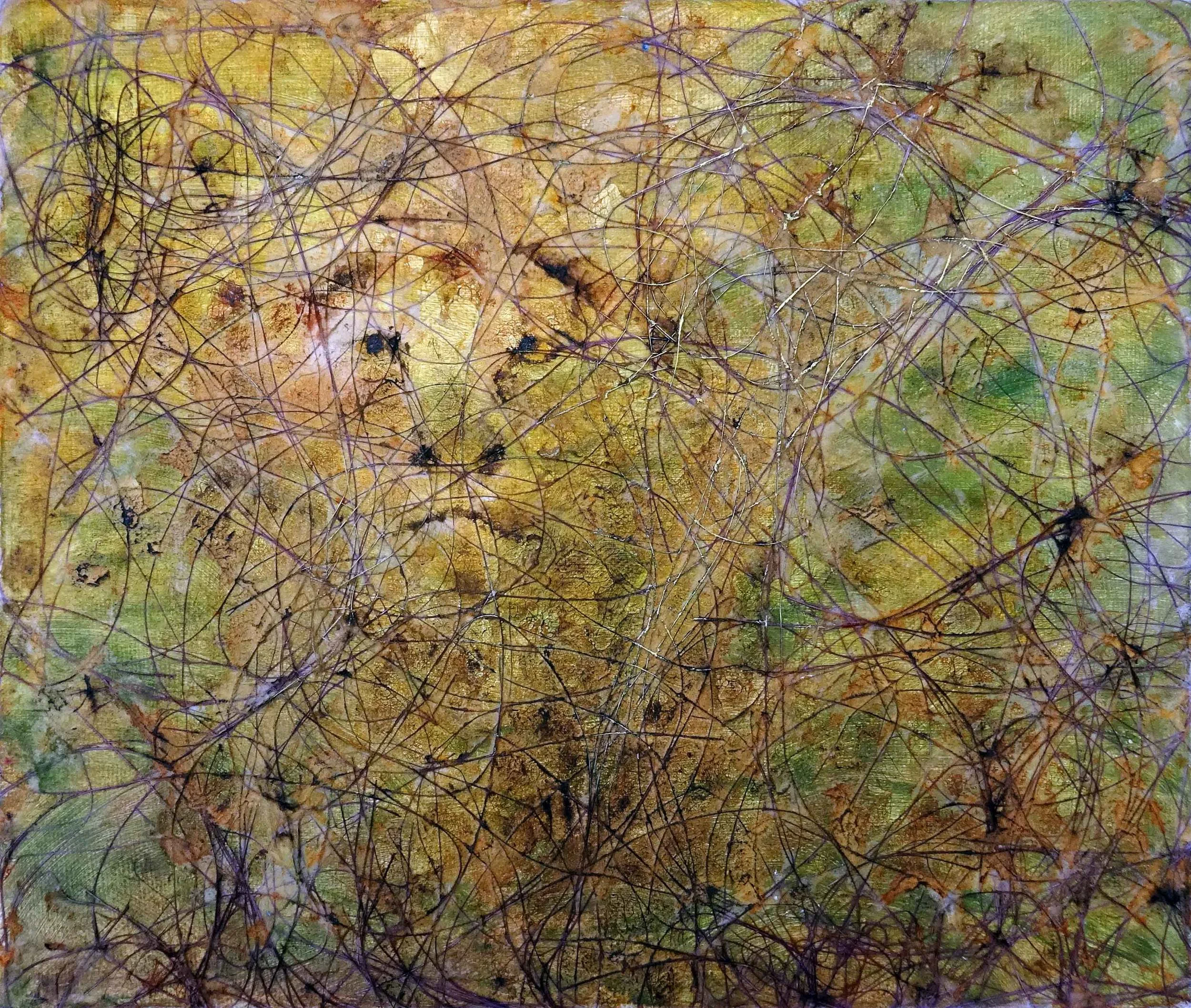 Waiting Lion 1
