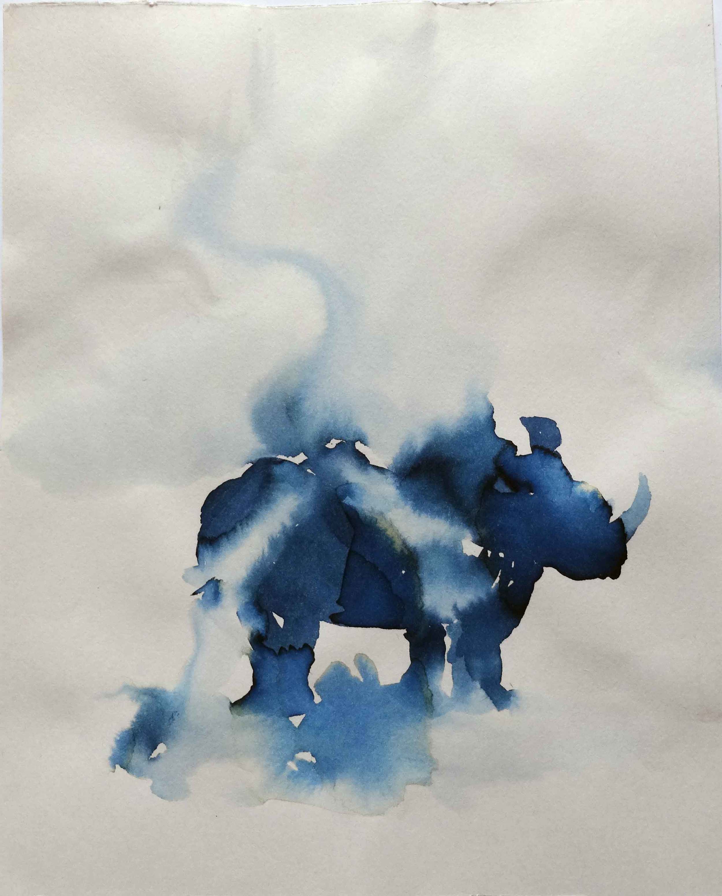 Blue Rhino 1