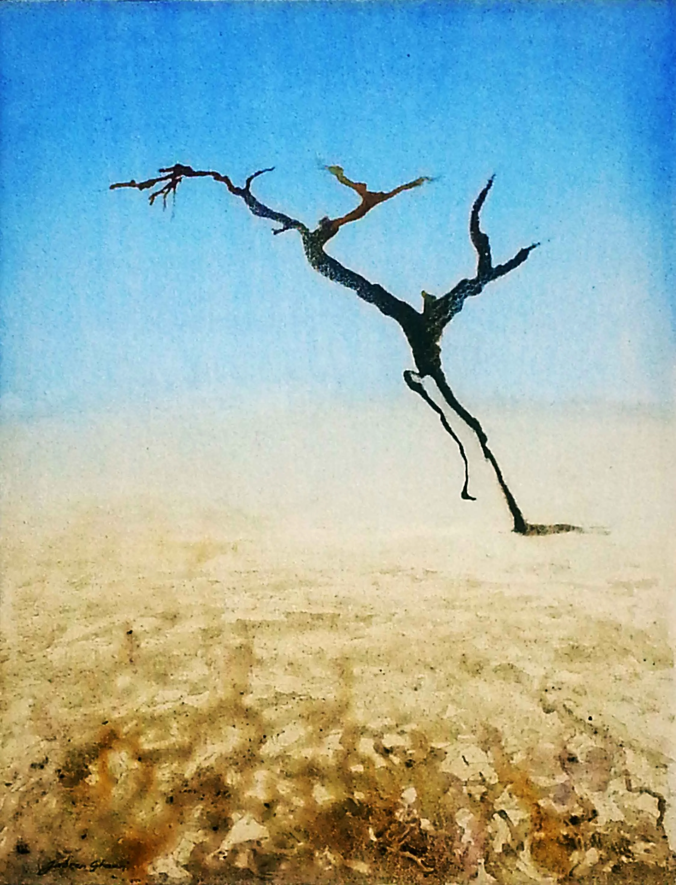 Lone Tree