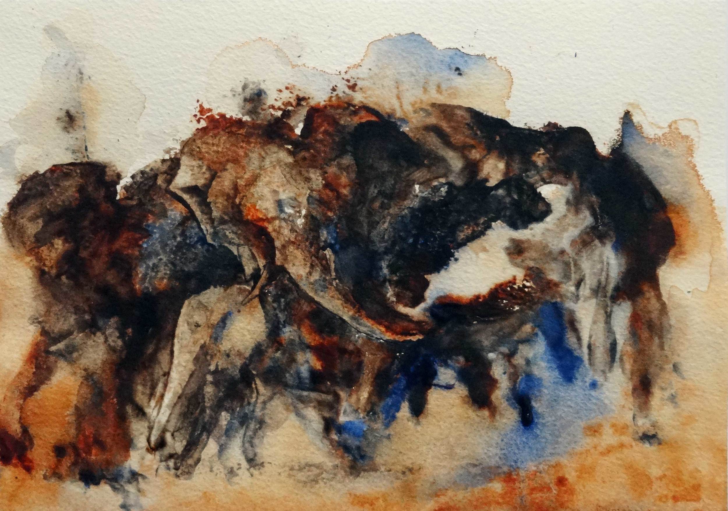 Dustbath 3