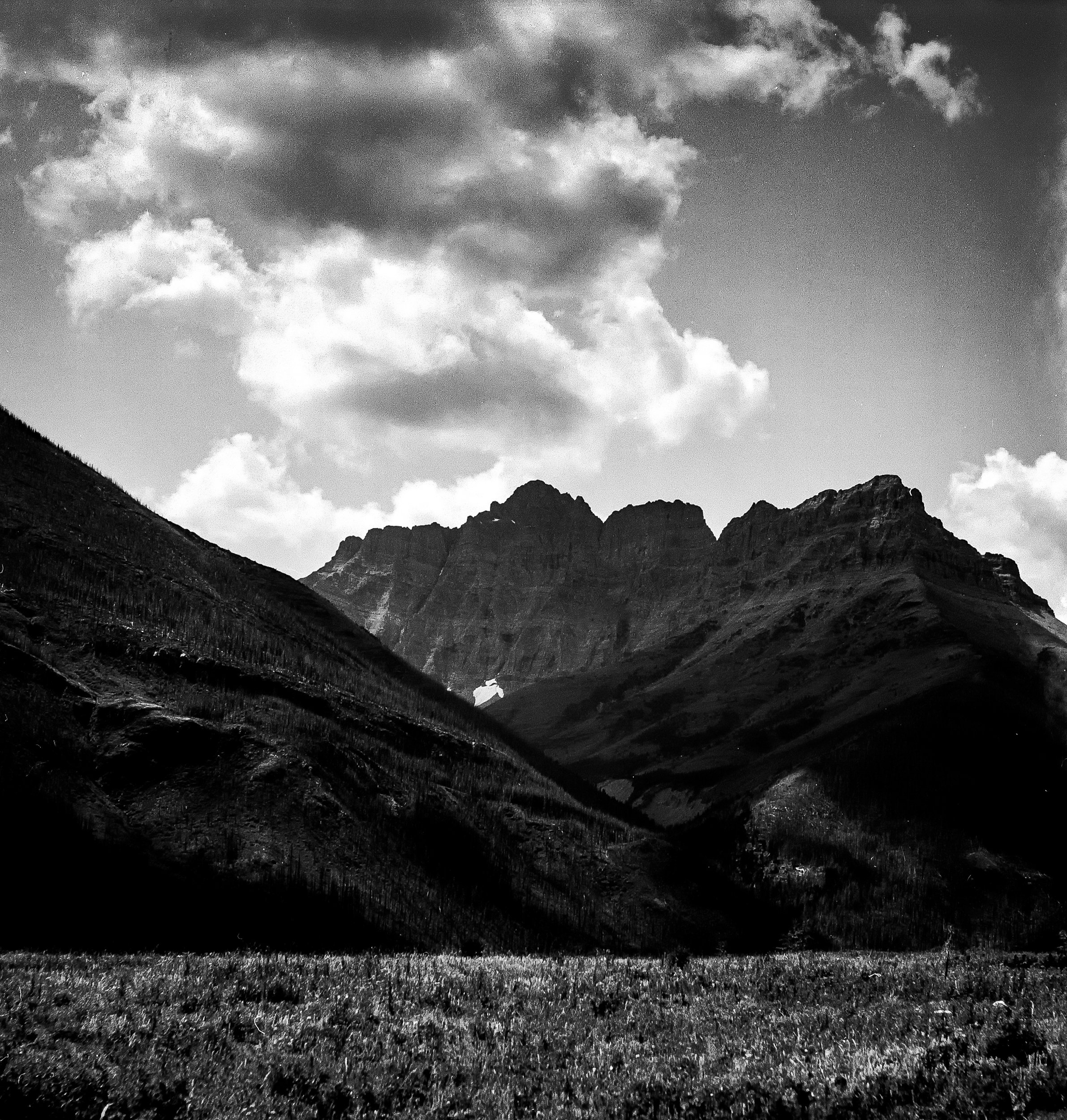 SPRING MEADOWS - GLACIER NP