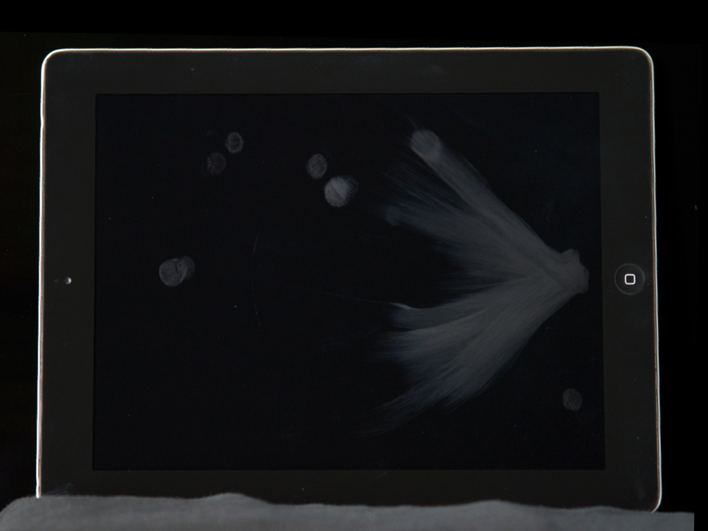 Capture the fingerprints with a camera.