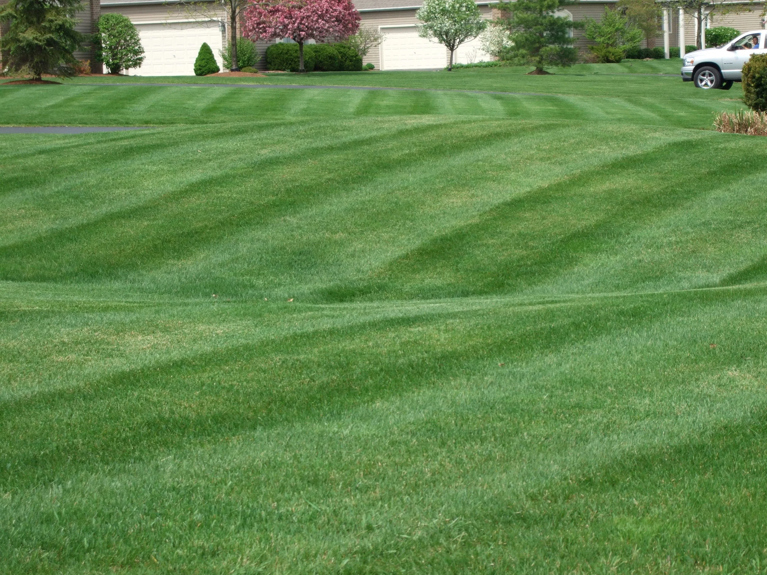 Lawn-Striping.jpg