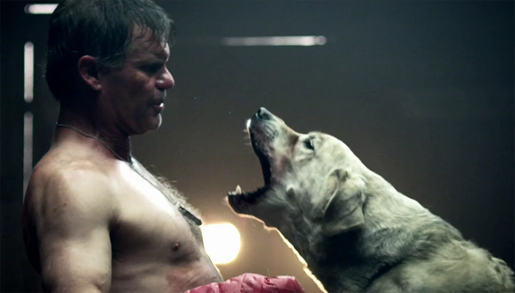 ABCs of Death: D For Dogfight