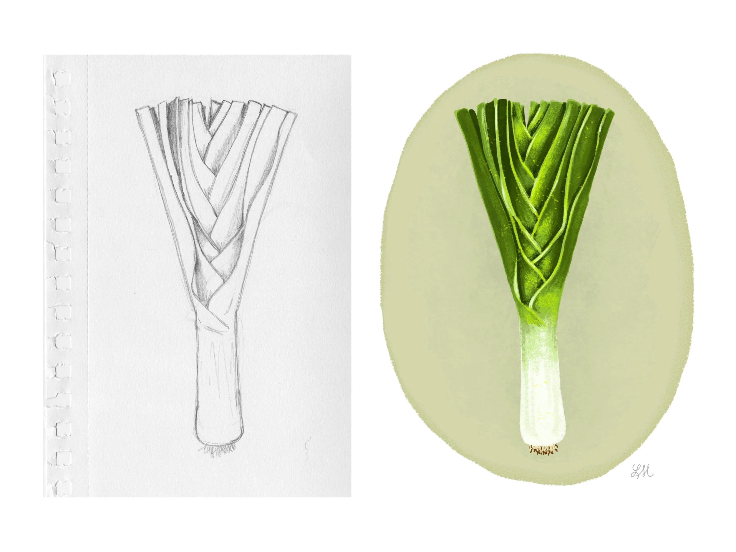 sketches2.jpg