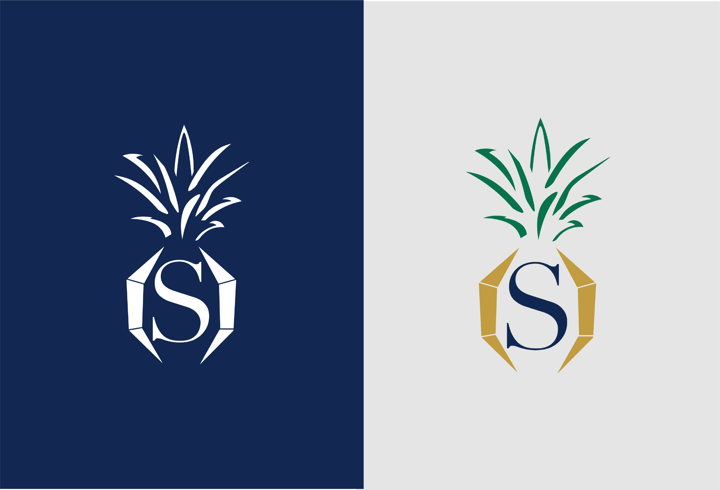 SHO_Portfolio_1.png