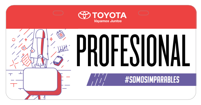 "Professional"