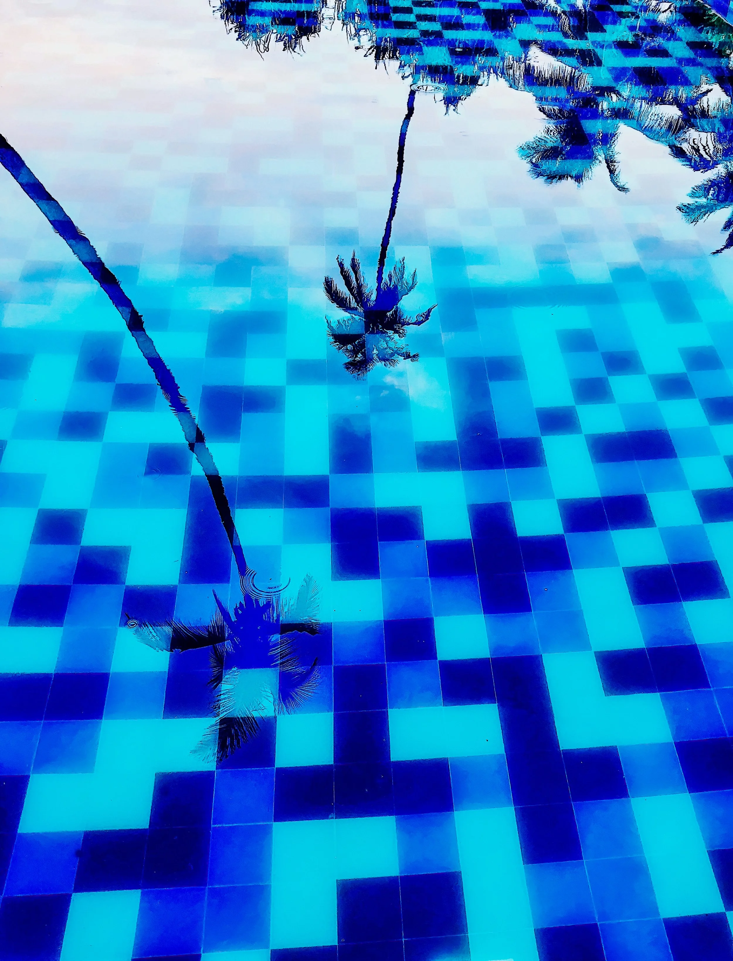 01E7B7D0-2079-4298-9C70-B8F3596E25CF (2)-Edit-Edit.jpg