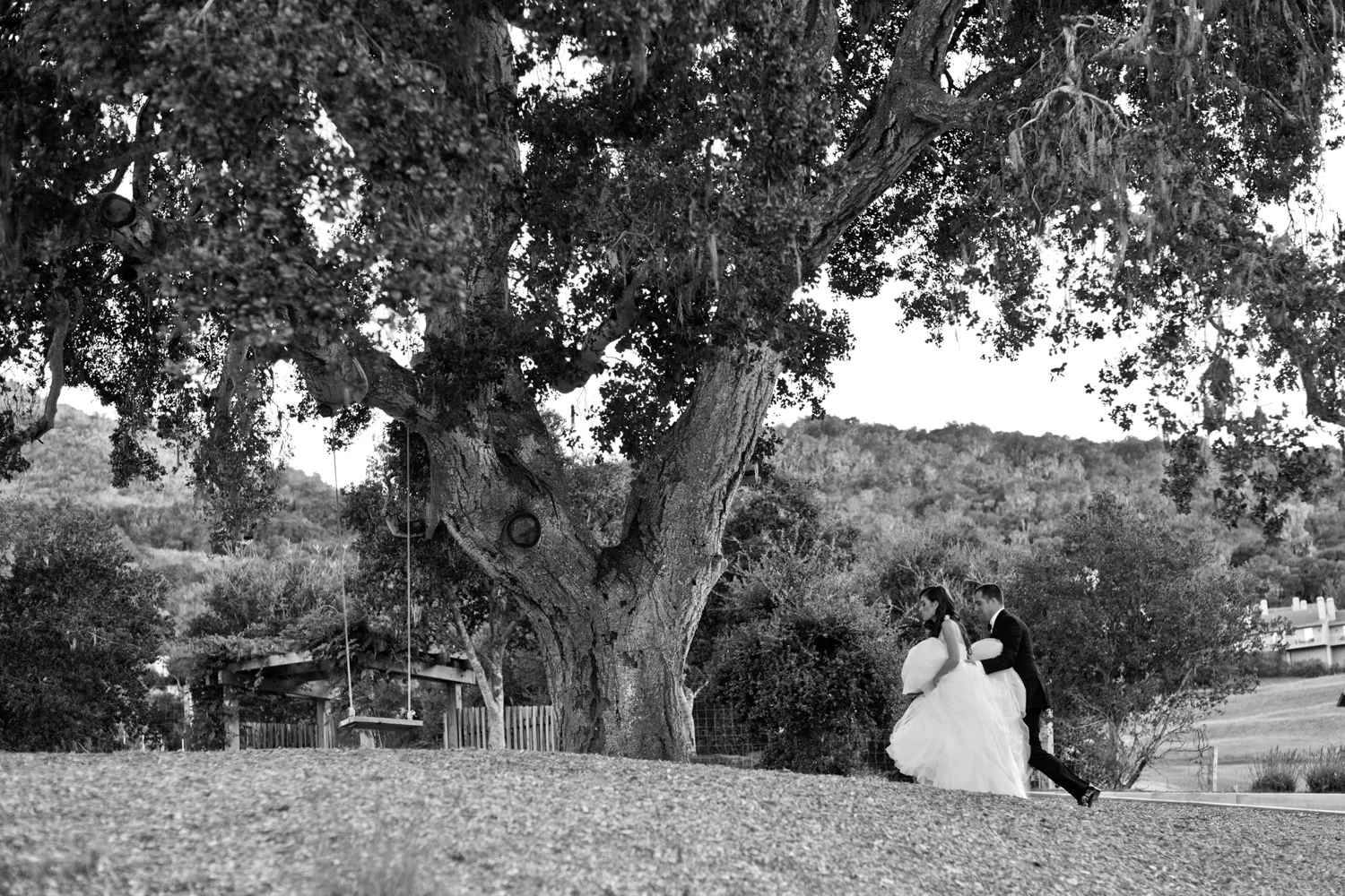 20120613-Dish_Bozzo_BW_079 copy.jpg