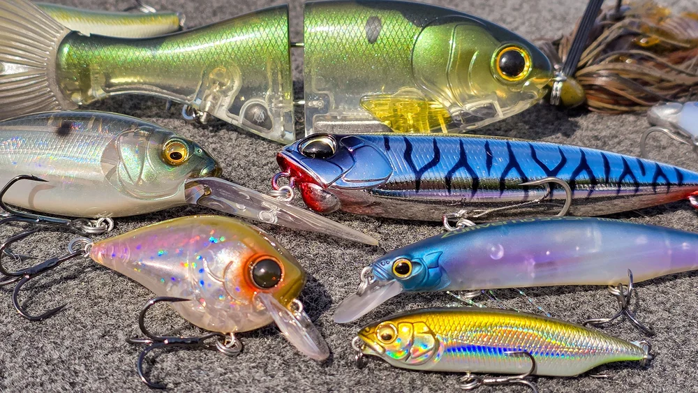Top 5 Baits For October Bass Fishing! — Tactical Bassin' - Bass Fishing ...