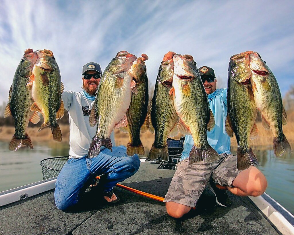 Whats New with Alabama Rigs? — Tactical Bassin' - Bass Fishing Blog