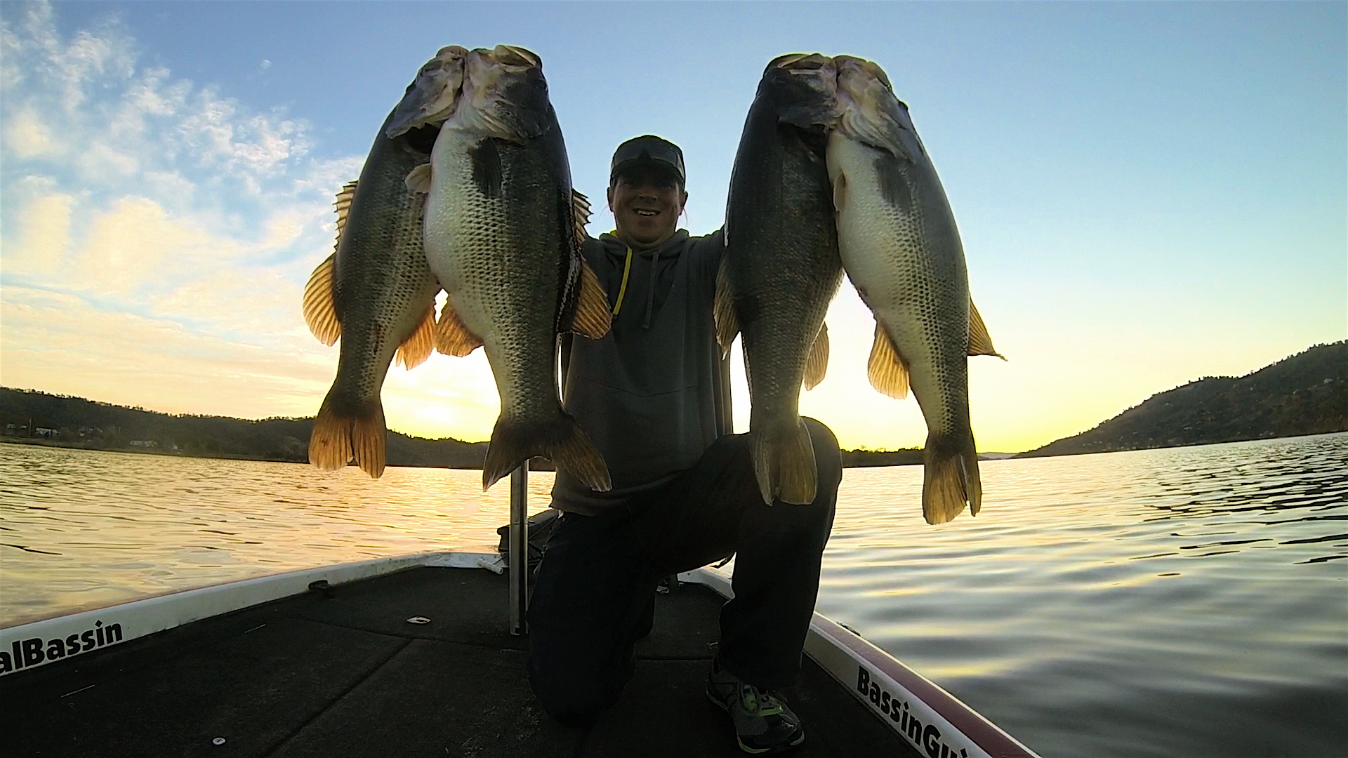 7.5,7.1,7.1 4 pack 34.75 limit.jpeg