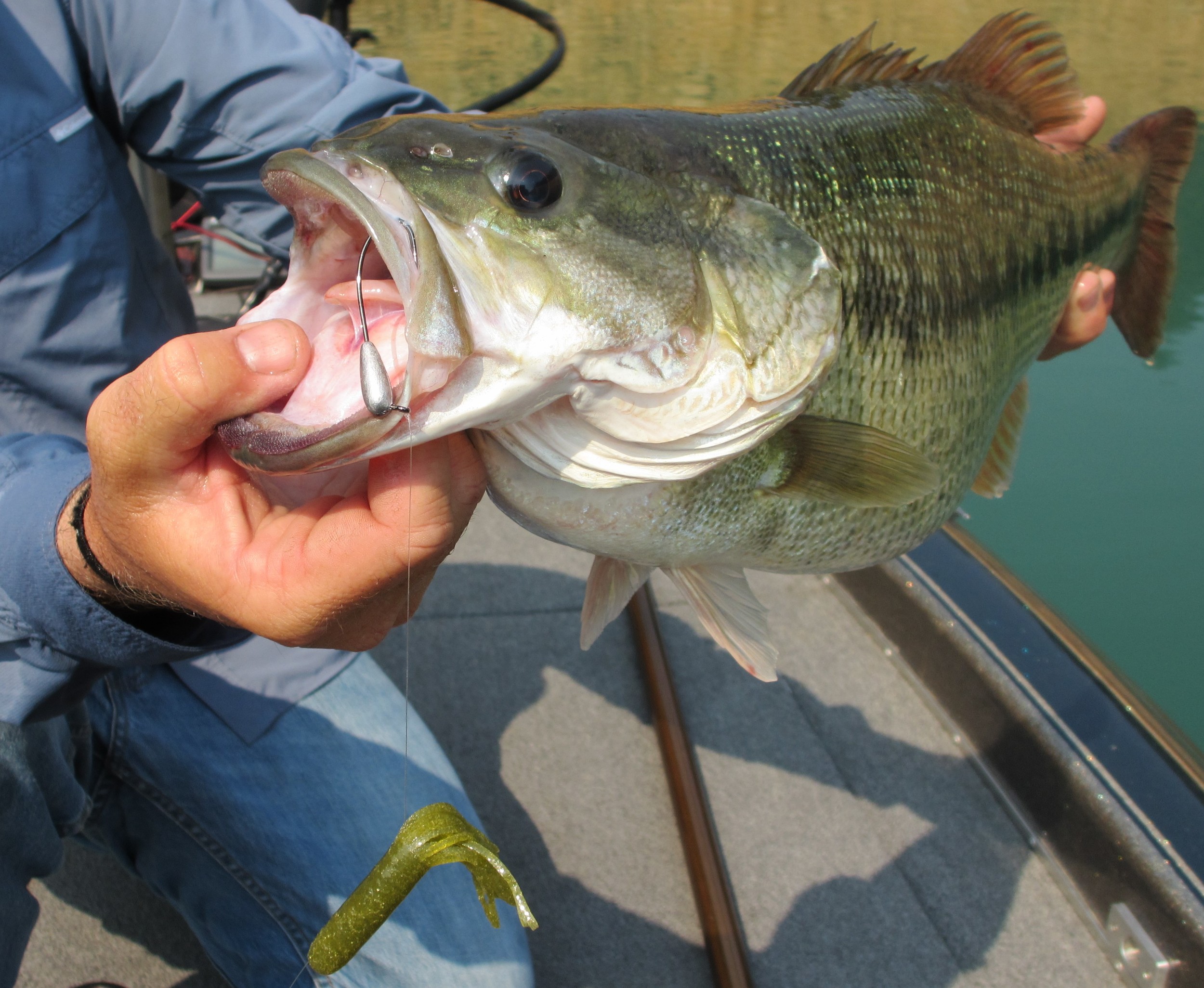Finesse Tubes: Two Very Different Styles — Tactical Bassin' - Bass Fishing  Blog