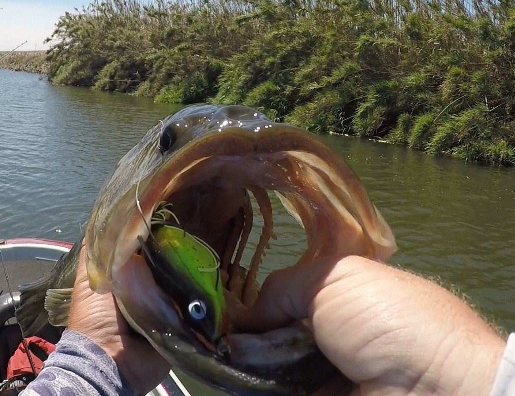 Don't Be Lazy! — Tactical Bassin' - Bass Fishing Blog
