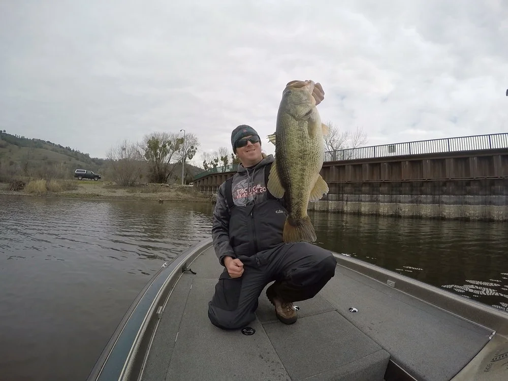 10+lber+2.jpg