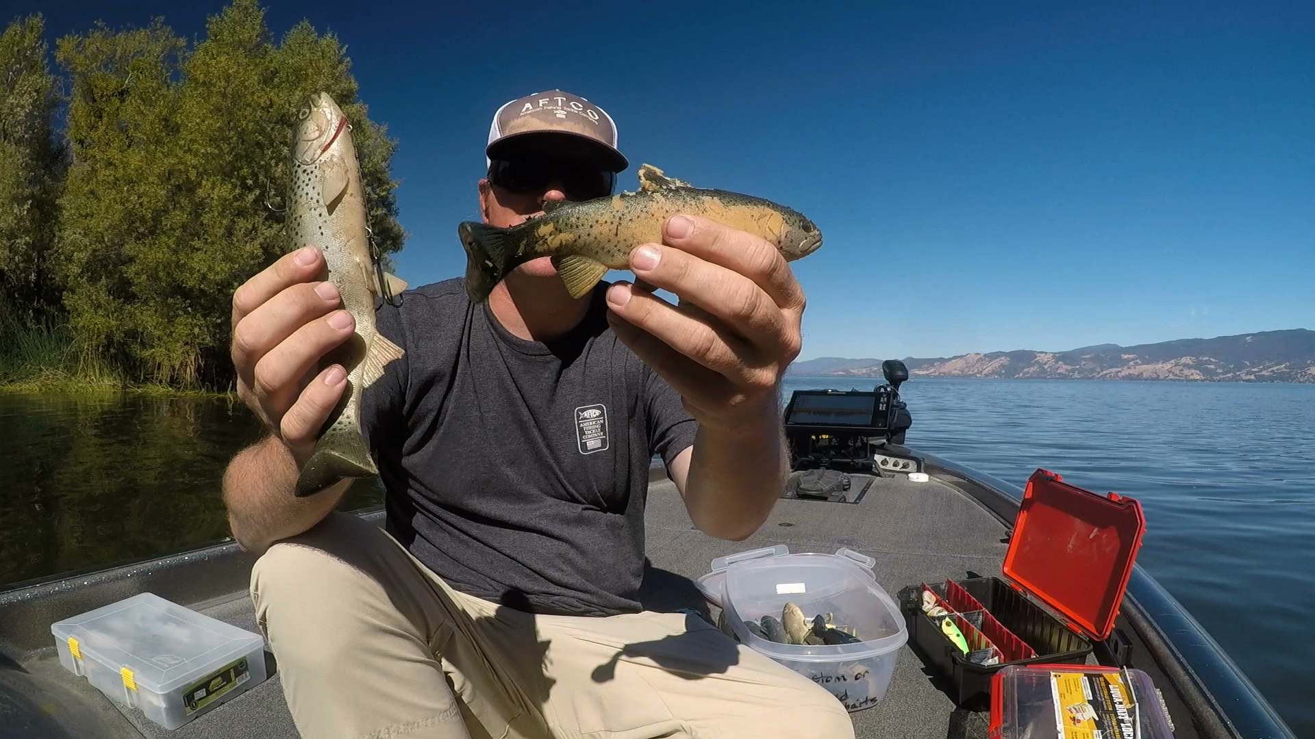 Matt Swimbaits.jpeg