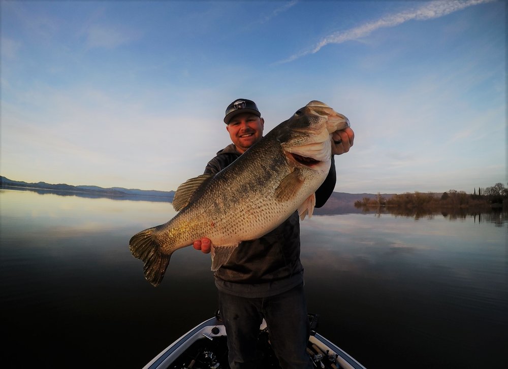 Lipless Crankbaits: Year Round Tips To Catch Bigger Bass! — Tactical  Bassin' - Bass Fishing Blog