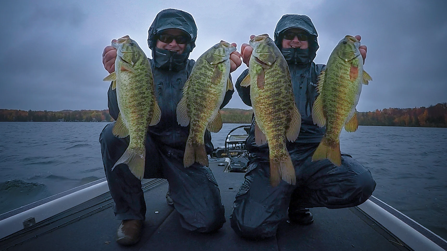 Smallie 4 pack-1.jpg