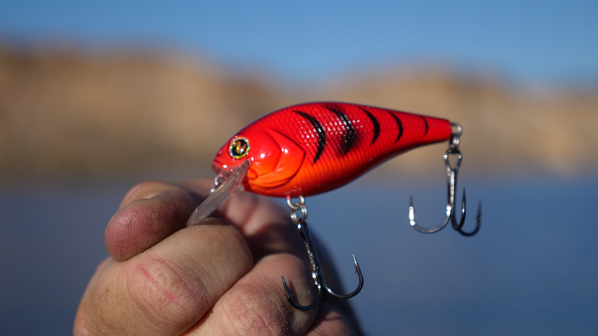 Itumo Pitty 65SP fishing lures range of colors 