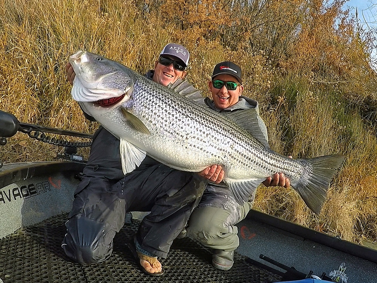 38 lber together-01.jpeg