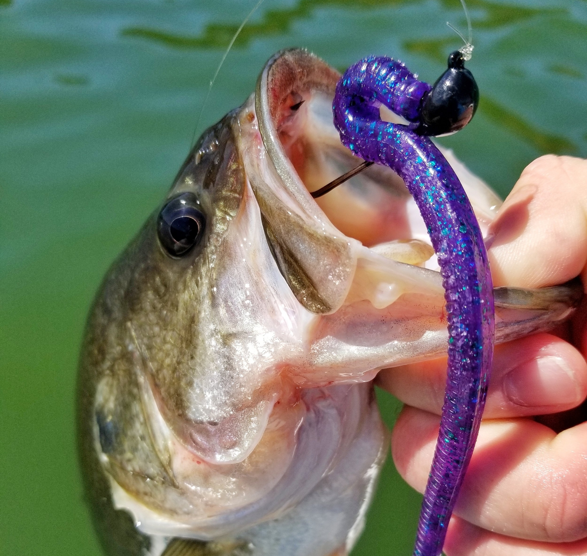 Summer Worm Fishing Tricks — Tactical Bassin' - Bass Fishing Blog
