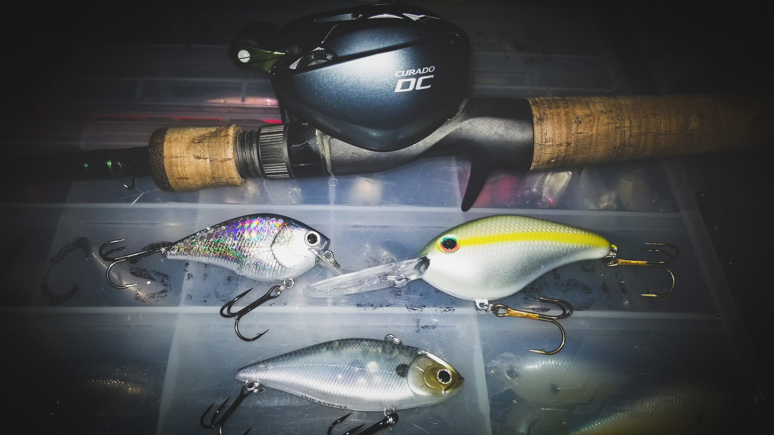 4 Crankbaits That Keep Catching Bass In Fall and Winter — Tactical Bassin'  - Bass Fishing Blog