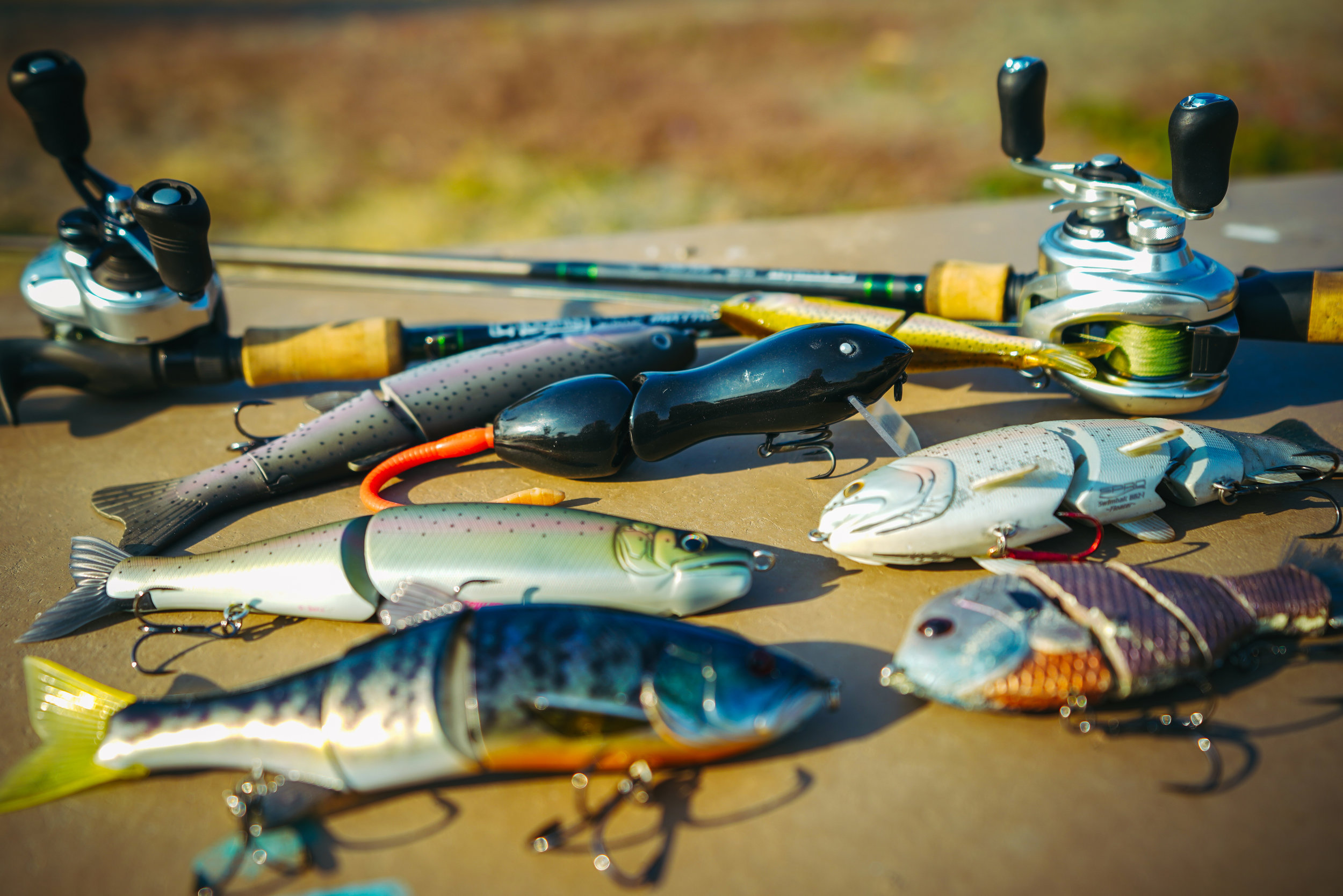 Swimbait Buyer's Guide Glide Baits, Hardbaits, and Topwater — Tactical