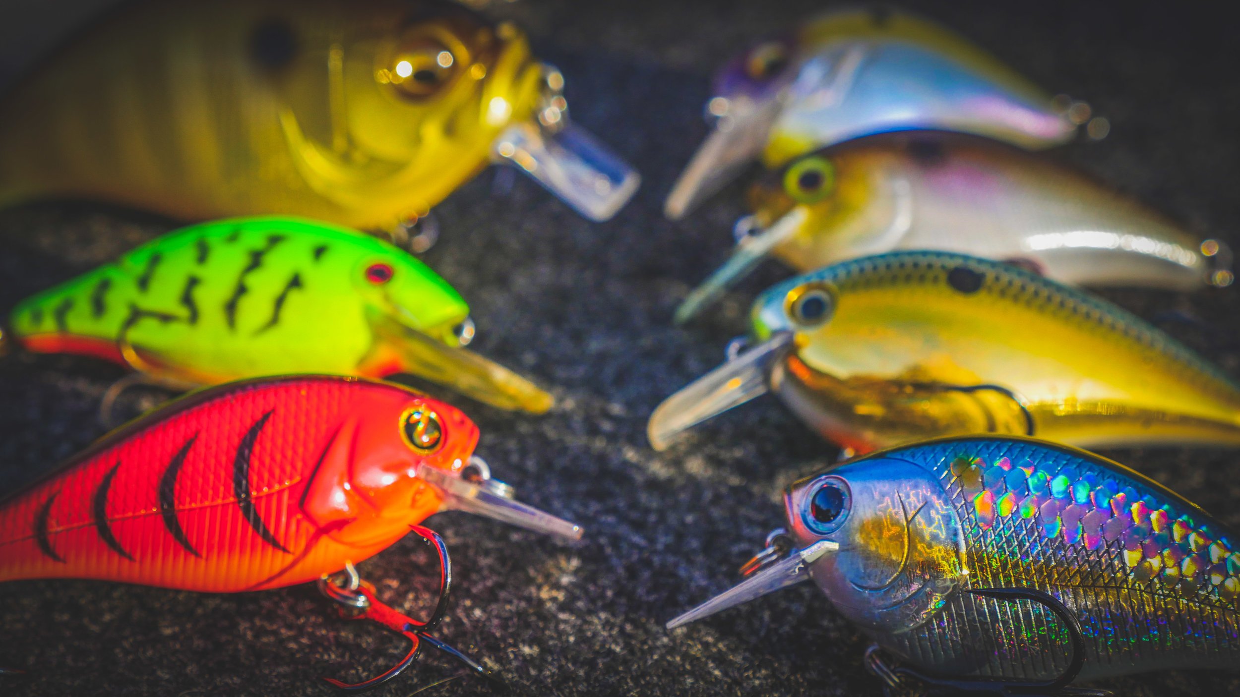 Squarebill Crankbait Buyer's Guide - Top Baits For Every Season