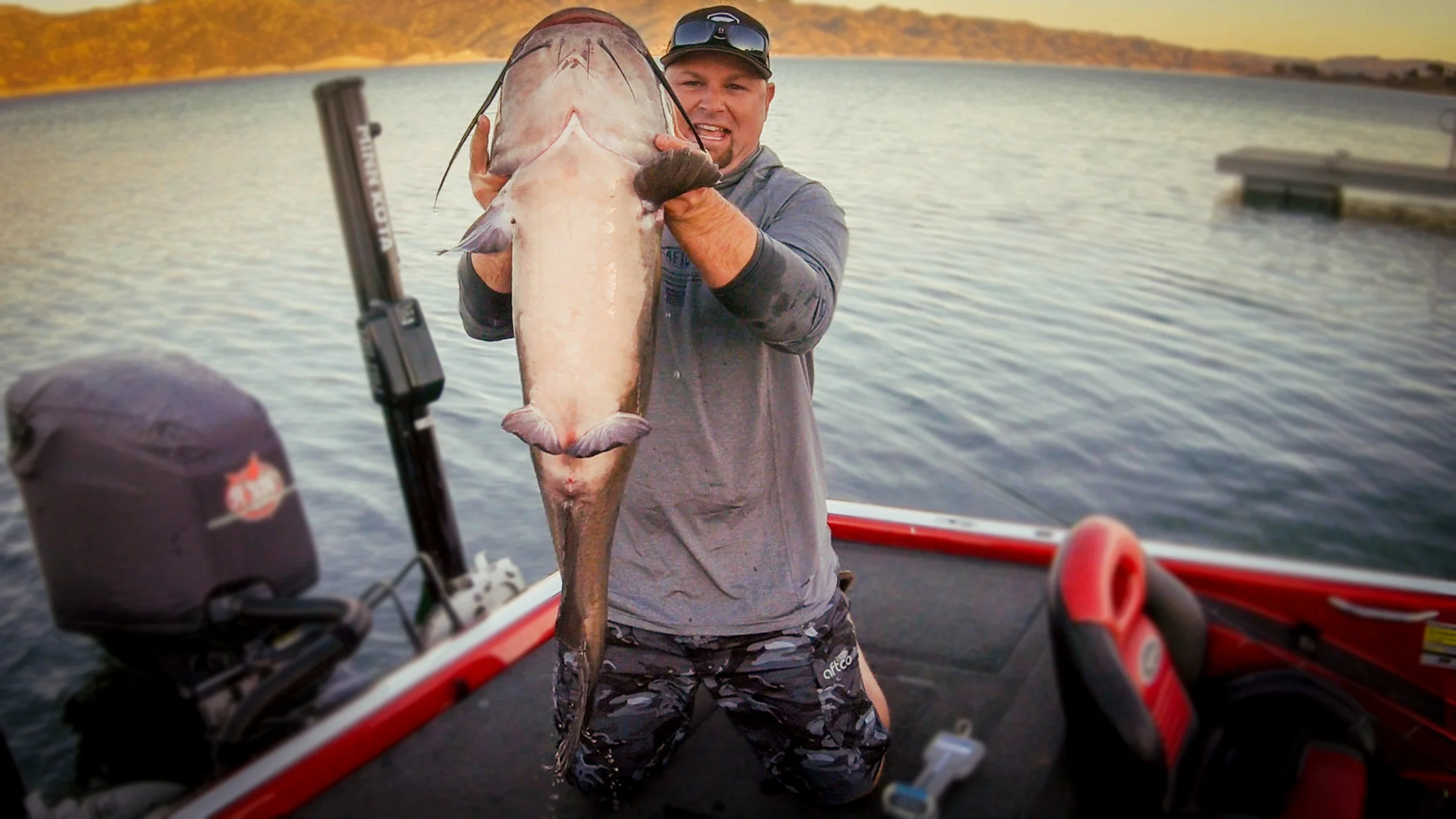 Catfish web.jpg