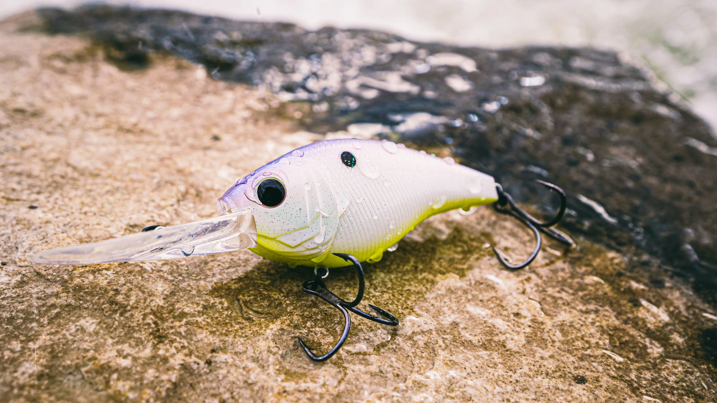 Deep Diving Crankbaits For Early Summer Bass — Tactical Bassin