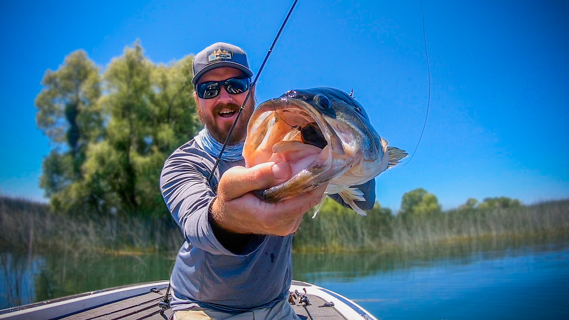 How To Catch Bass In The Heat! (Its Easy) — Tactical Bassin' - Bass Fishing  Blog