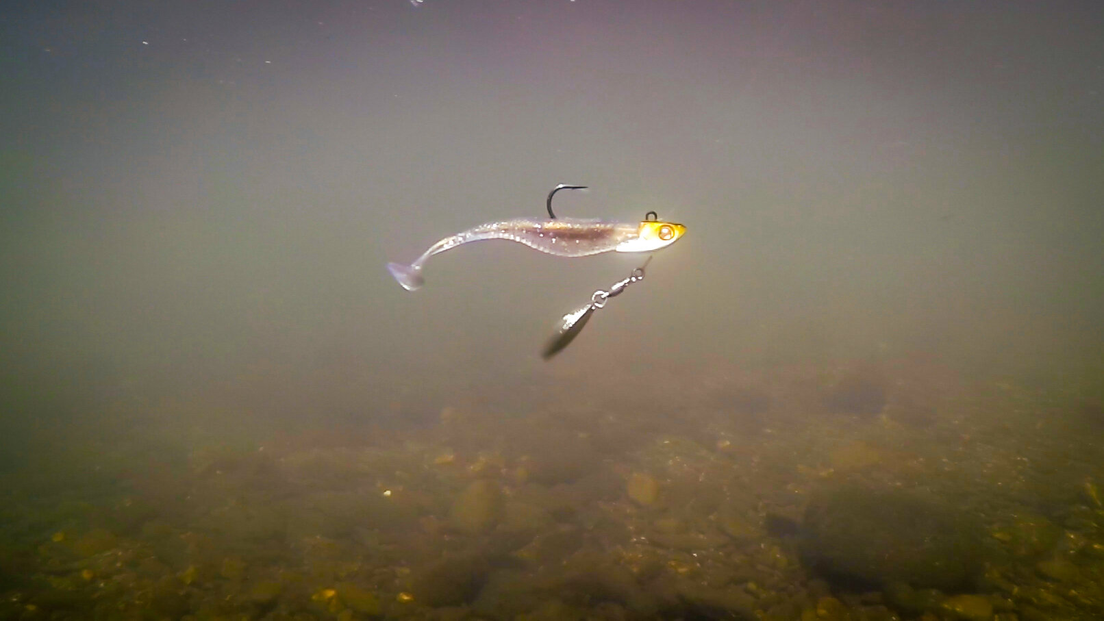 Amazing Underwater Footage of 10 Underspins and Swimbaits!! — Tactical  Bassin' - Bass Fishing Blog