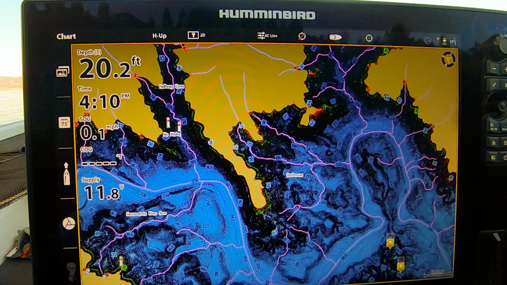 Where do fish go in the winter web.jpg