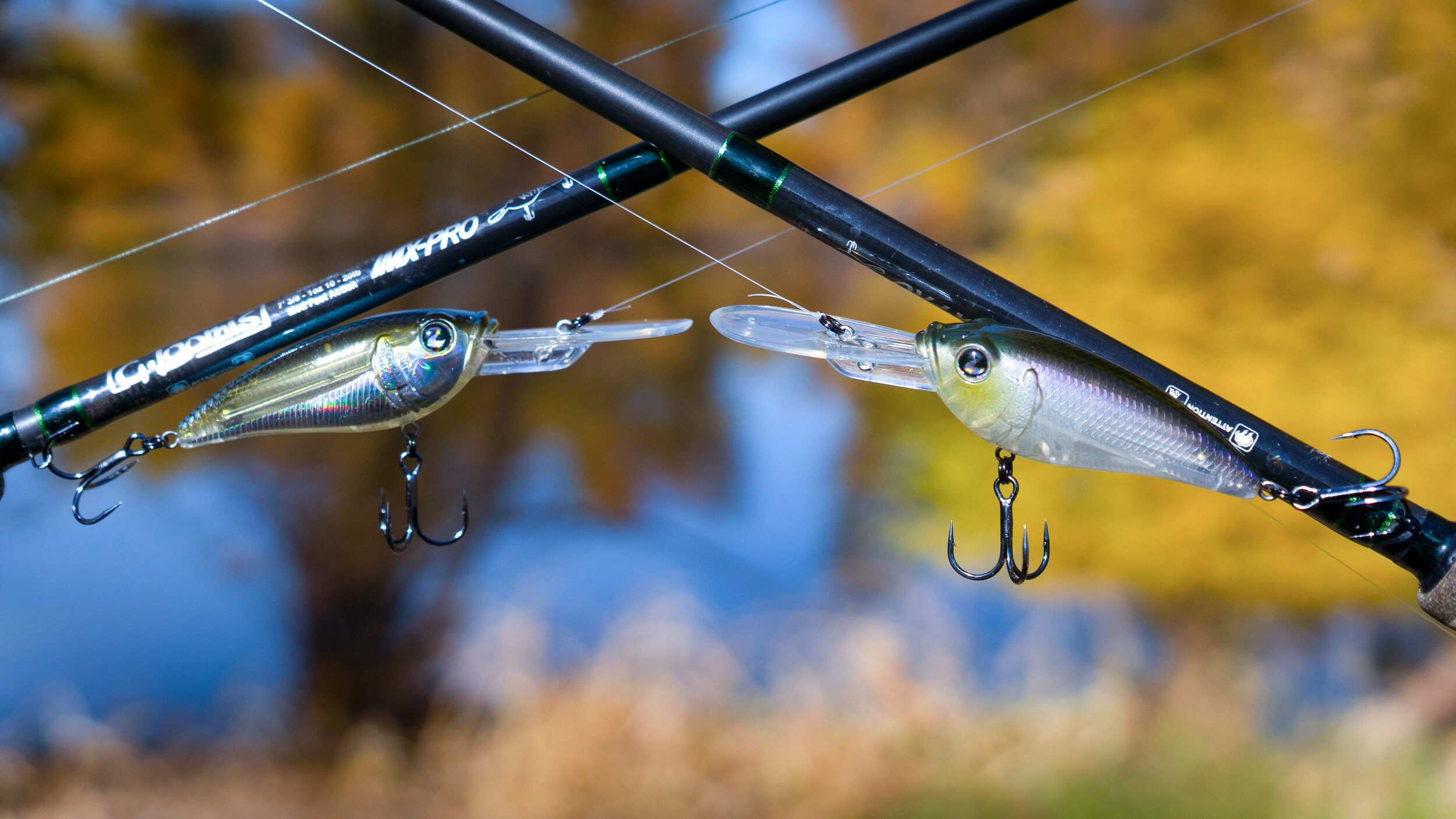 Cold Water Crankbait Tricks For Big Bass In Winter — Tactical Bassin' -  Bass Fishing Blog