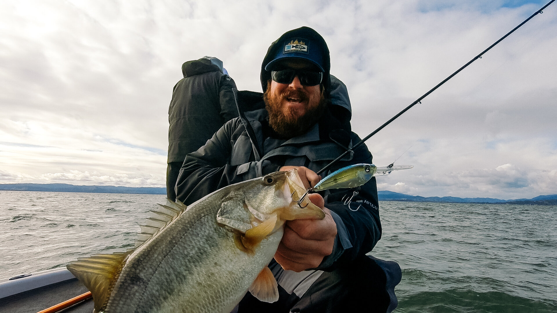 Neko Rig Fishing: Everything You Need To Know To Catch Bass! — Tactical  Bassin' - Bass Fishing Blog