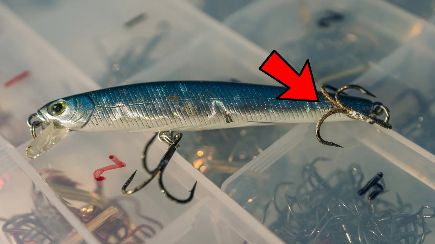 Spring Tackle Spring Tackle Organization Tricks! Save Time and Money! — Tactical ...